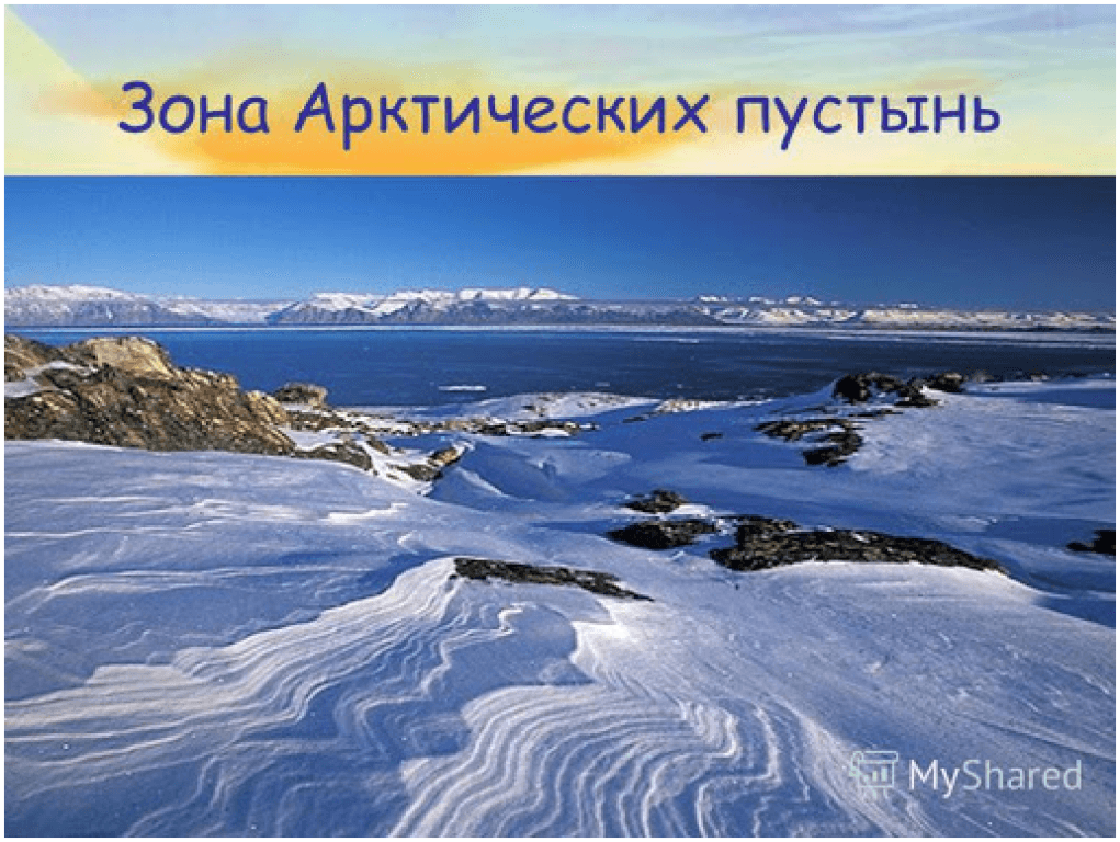 На каких архипелагах нет арктических пустынь. Зона арктических пустынь. Арктичеческие пустыни. Зона арктической пустыни. Арктические пустыни природная зона.