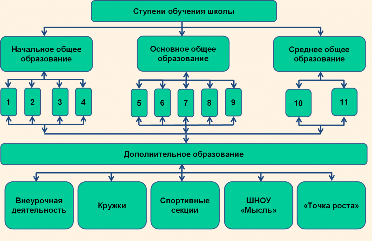 Структура школы