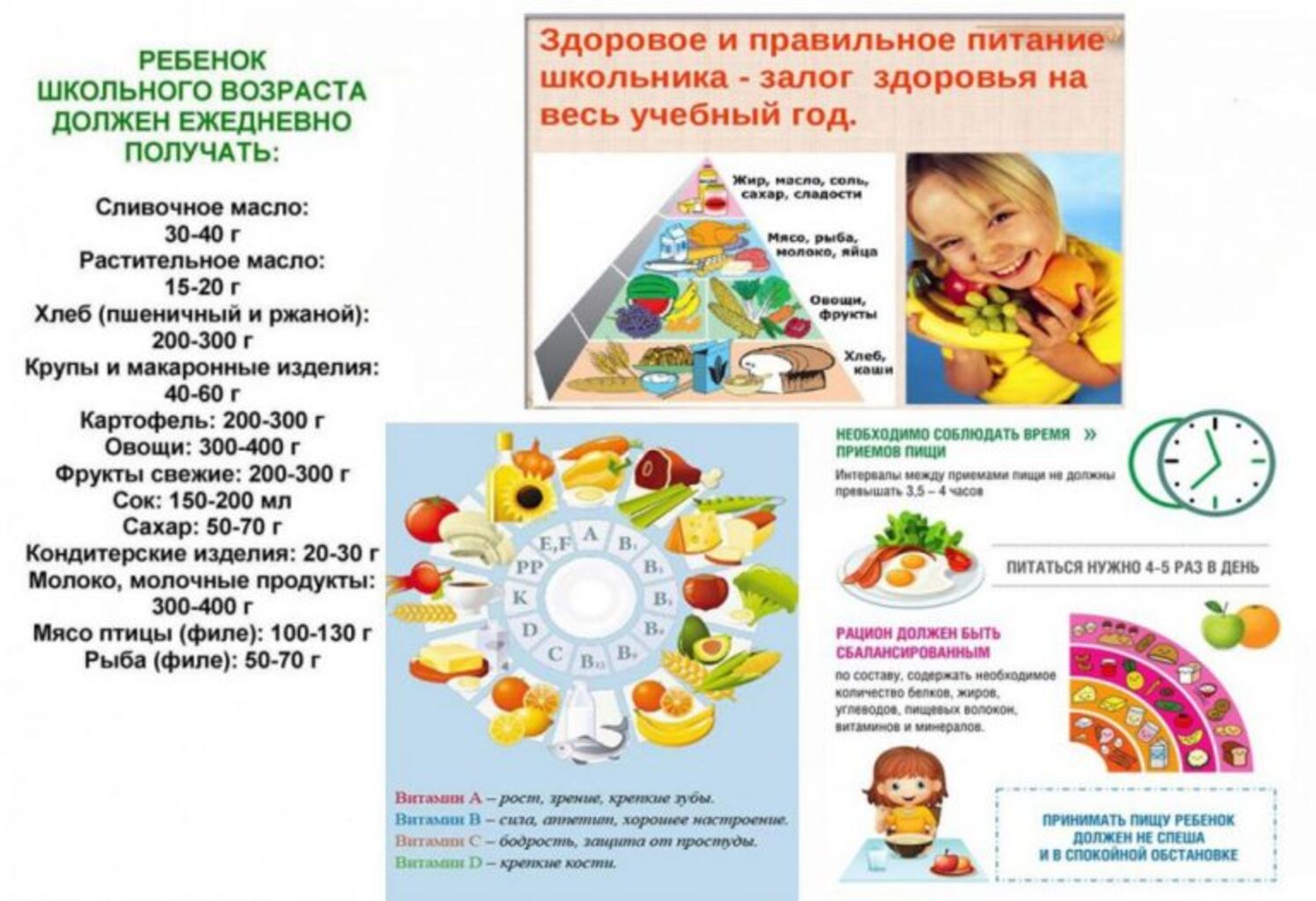 Питание Школьника Книга Купить