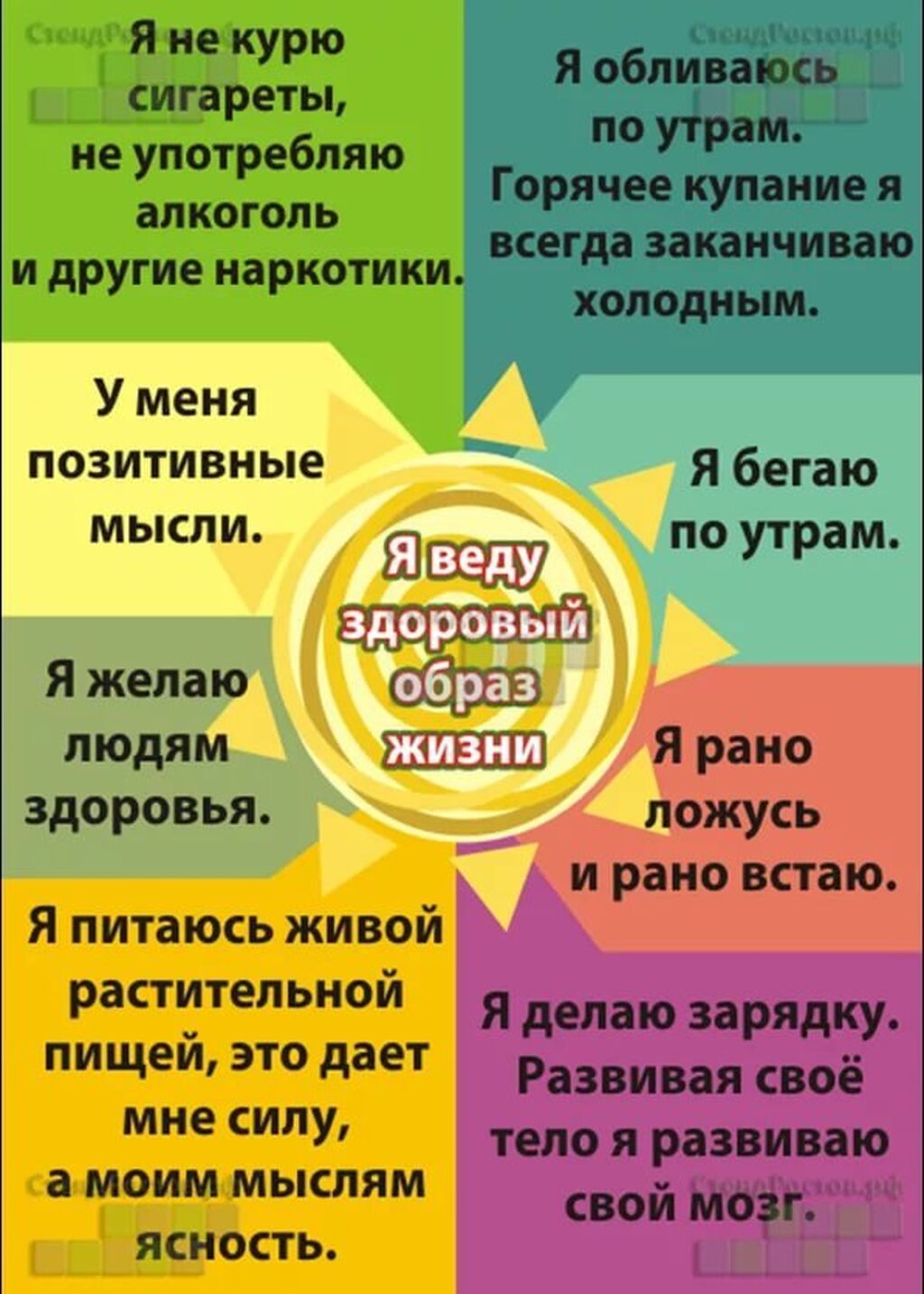 Правила Зож Картинки