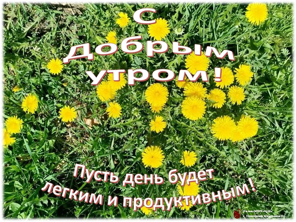 С добрым утром!