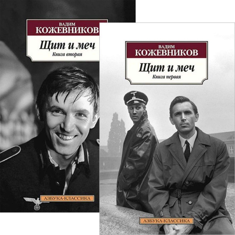Щит И Меч Книга Купить