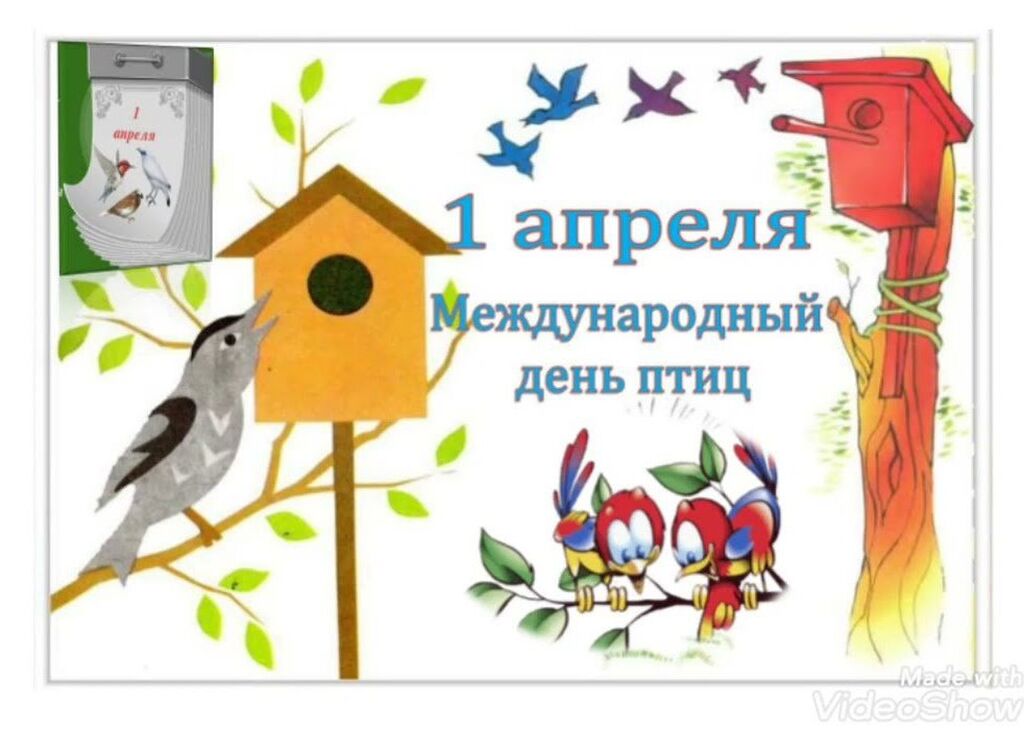 День Птиц Картинки Для Детей