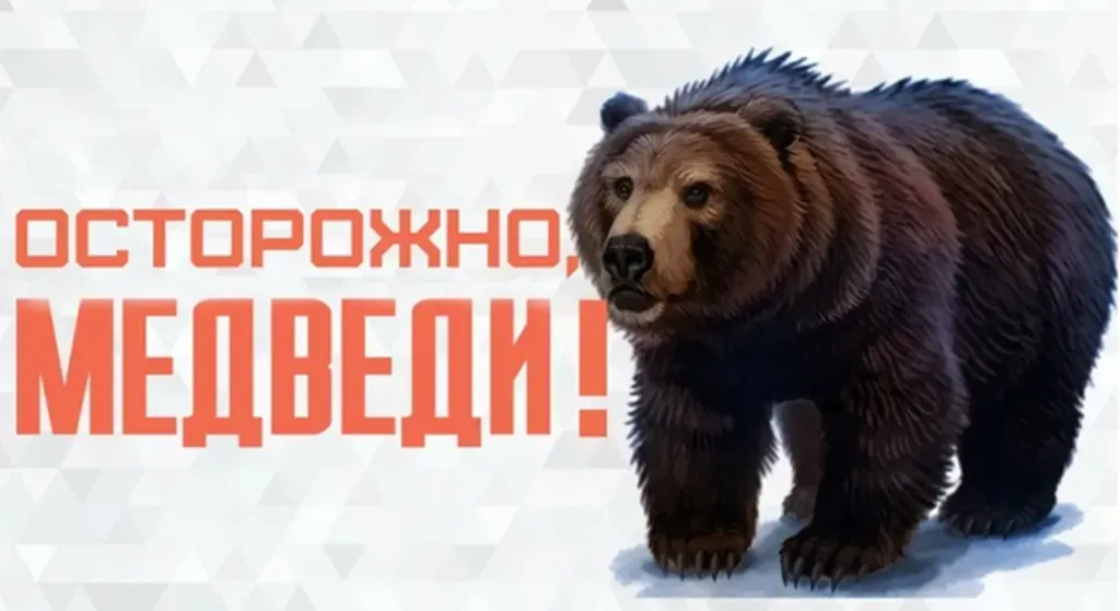 Осторожно медведь!